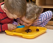 Kinder untersuchen Kastanien